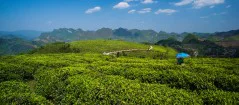 多彩贵州·第十四届中国原生态国际摄影大展 · 赵美和 的图集