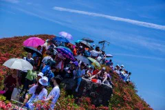 多彩贵州·第十四届中国原生态国际摄影大展 · 啊伟 的图集
