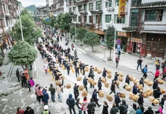 多彩贵州·第十四届中国原生态国际摄影大展 · 神州影者 的图集