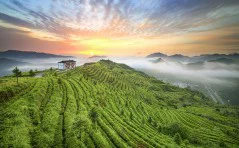 多彩贵州·第十四届中国原生态国际摄影大展 · 山涧泉水 的图集