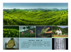 多彩贵州·第十四届中国原生态国际摄影大展 · 朱文军 的图集