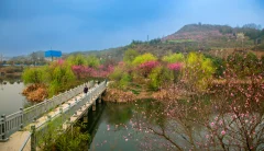 2023多彩贵州·第十六届中国原生态国际摄影大展 · 张从文 的图集