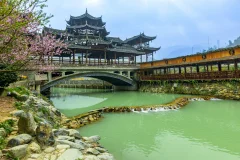 2023多彩贵州·第十六届中国原生态国际摄影大展 · 艺圃花匠 的图集