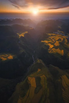 夕阳下的金色梯田