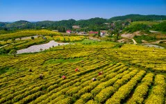 多彩贵州·第十四届中国原生态国际摄影大展 · 健摄者 的图集
