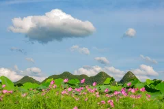 多彩贵州·第十四届中国原生态国际摄影大展 · 木北 的图集