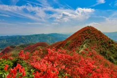 多彩贵州·第十四届中国原生态国际摄影大展 · 吴江平 的图集
