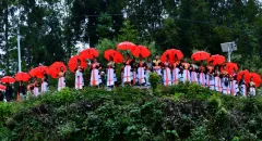 多彩贵州·第十四届中国原生态国际摄影大展 · 不堪回首 的图集