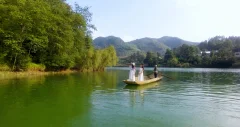 多彩贵州·第十四届中国原生态国际摄影大展 · 流浪枫叶 的图集