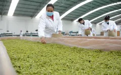 多彩贵州·第十四届中国原生态国际摄影大展 · 诗和远方（肖雄） 的图集