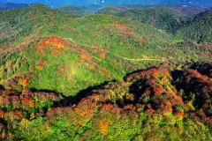 第十五届多彩贵州·中国原生态国际摄影大展·”空中瞰贵州”主题征稿 · 光影之旅 的图集