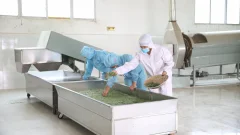多彩贵州·第十四届中国原生态国际摄影大展 · 流浪枫叶 的图集