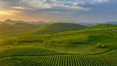 多彩贵州·第十四届中国原生态国际摄影大展 · 大文 的图集