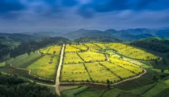 多彩贵州·第十四届中国原生态国际摄影大展 · 文斌 的图集