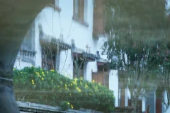 多彩贵州·第十四届中国原生态国际摄影大展 · 花之冠 的图集