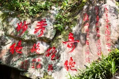 2025多彩贵州·第十八届中国原生态国际摄影大展 · 朱进 的图集