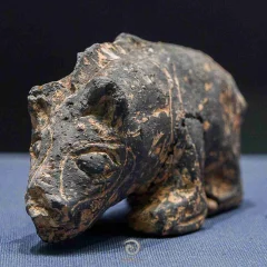 2024多彩贵州·第十七届中国原生态国际摄影大展展览 · 摄影大展官方客服 的图集