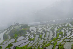 多彩贵州·第十四届中国原生态国际摄影大展 · 萧佟 的图集