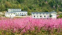 多彩贵州·第十四届中国原生态国际摄影大展 · 朱进 的图集