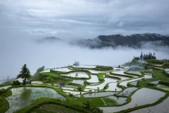 多彩贵州·第十四届中国原生态国际摄影大展 · 天涯客 的图集