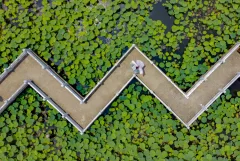 多彩贵州·第十四届中国原生态国际摄影大展 · 木北 的图集