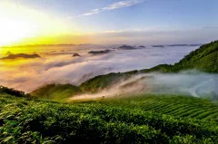 多彩贵州·第十四届中国原生态国际摄影大展 · 周访华 的图集