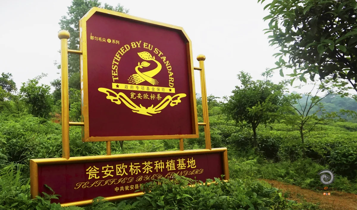 多彩贵州·第十四届中国原生态国际摄影大展 · 大文 的图集