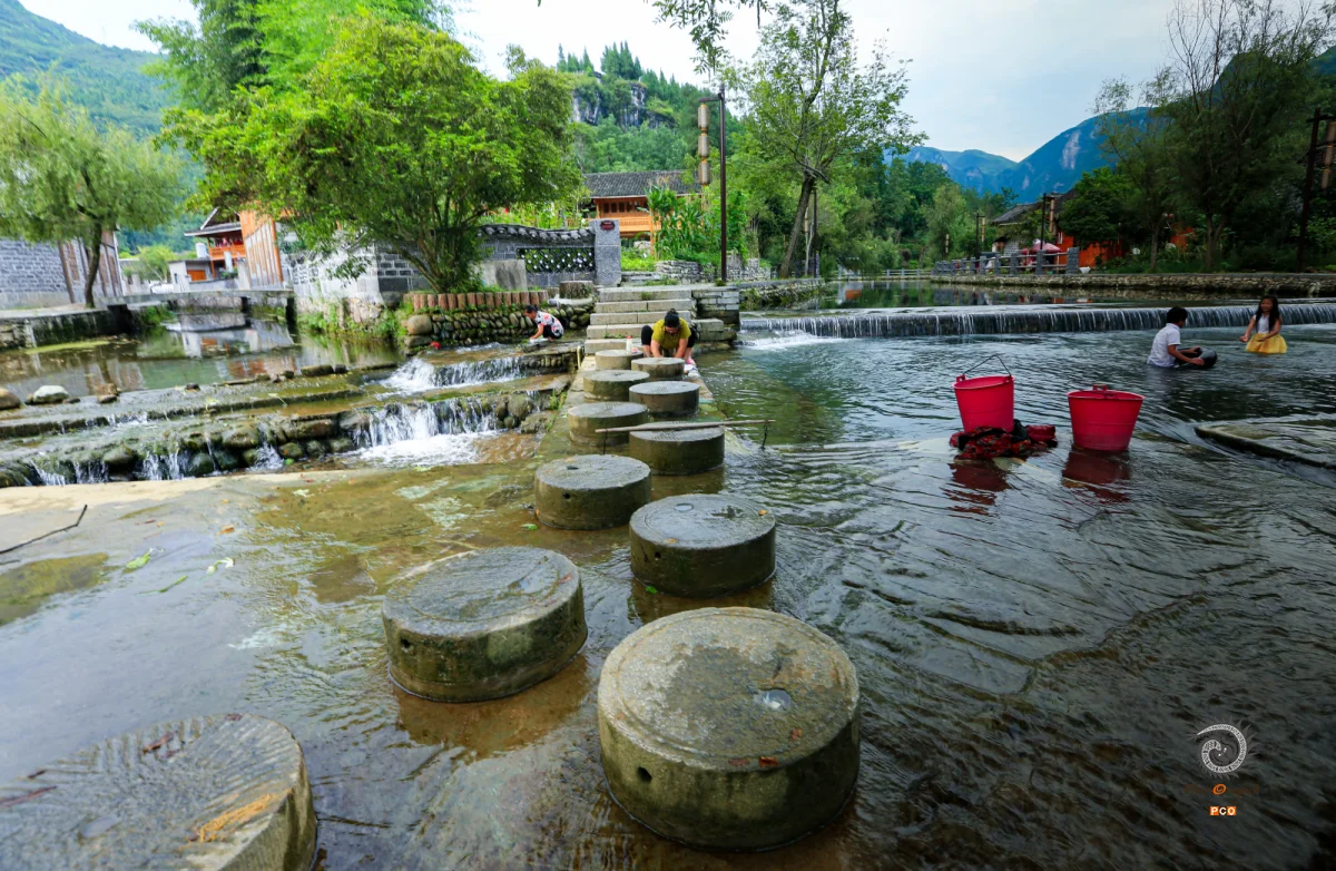 2023多彩贵州·第十六届中国原生态国际摄影大展 · 独立寒秋 的图集