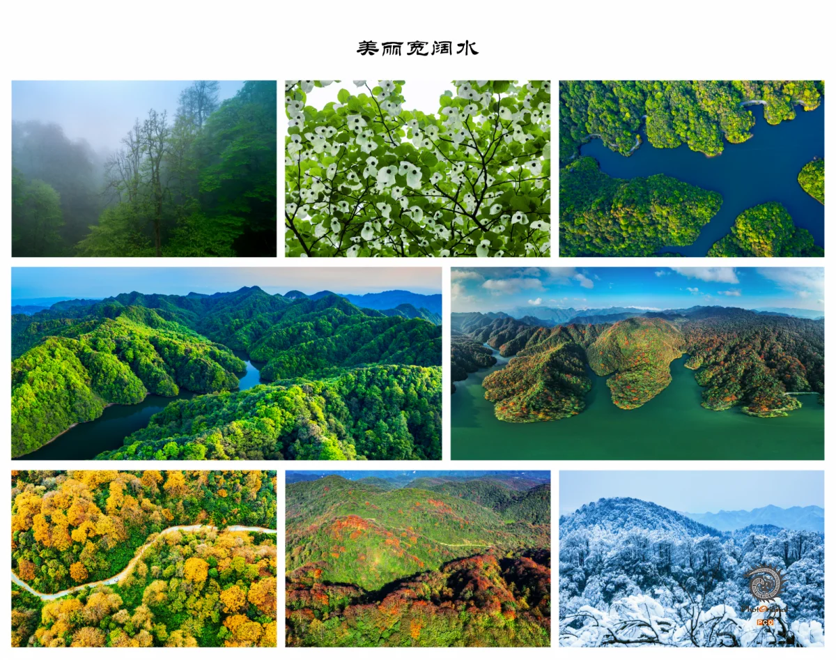 第十五届多彩贵州·中国原生态国际摄影大展·”空中瞰贵州”主题征稿 · 光影之旅 的图集