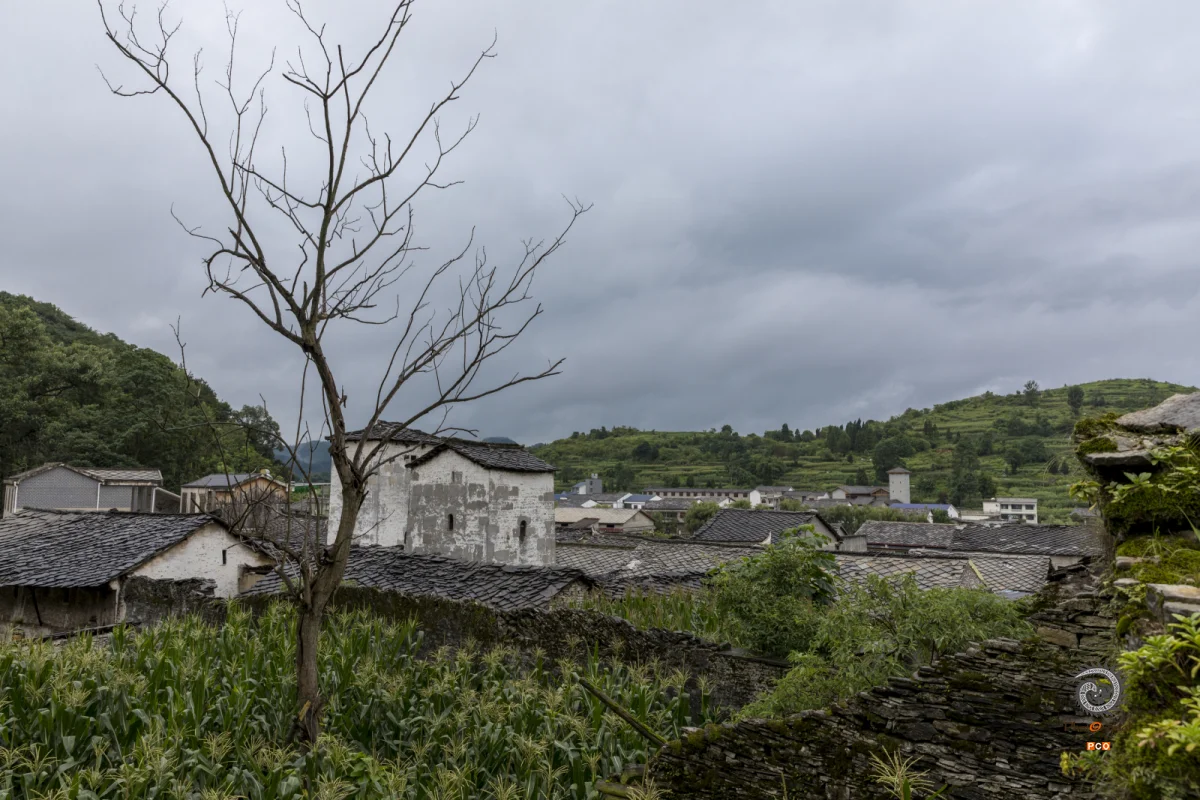 2025多彩贵州·第十八届中国原生态国际摄影大展 · 布丁 的图集