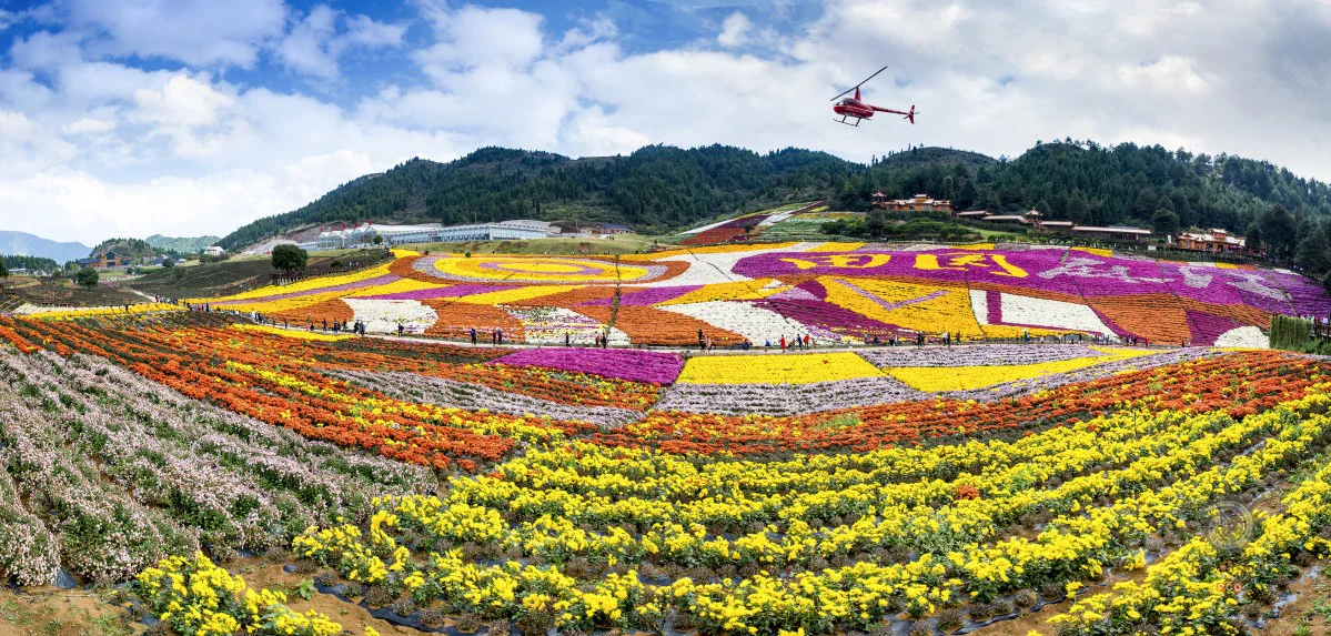 多彩贵州·第十四届中国原生态国际摄影大展 · 山涧泉水 的图集