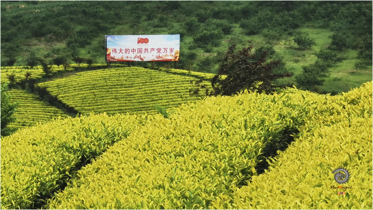 多彩贵州·第十四届中国原生态国际摄影大展 · 王德仙 的图集