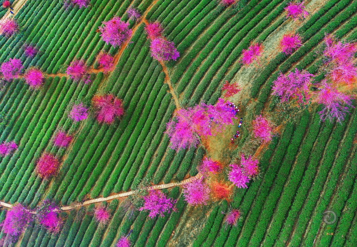 多彩贵州·第十四届中国原生态国际摄影大展 · 小寒大雪 的图集