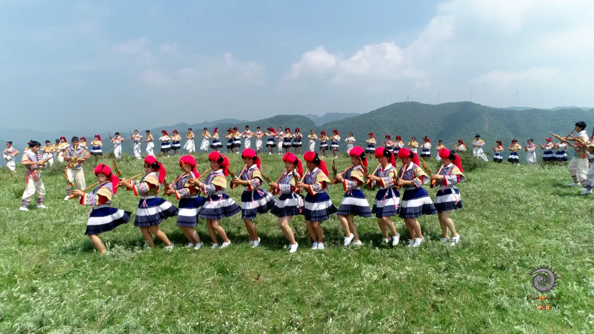 多彩贵州·第十四届中国原生态国际摄影大展 · 流浪枫叶 的图集