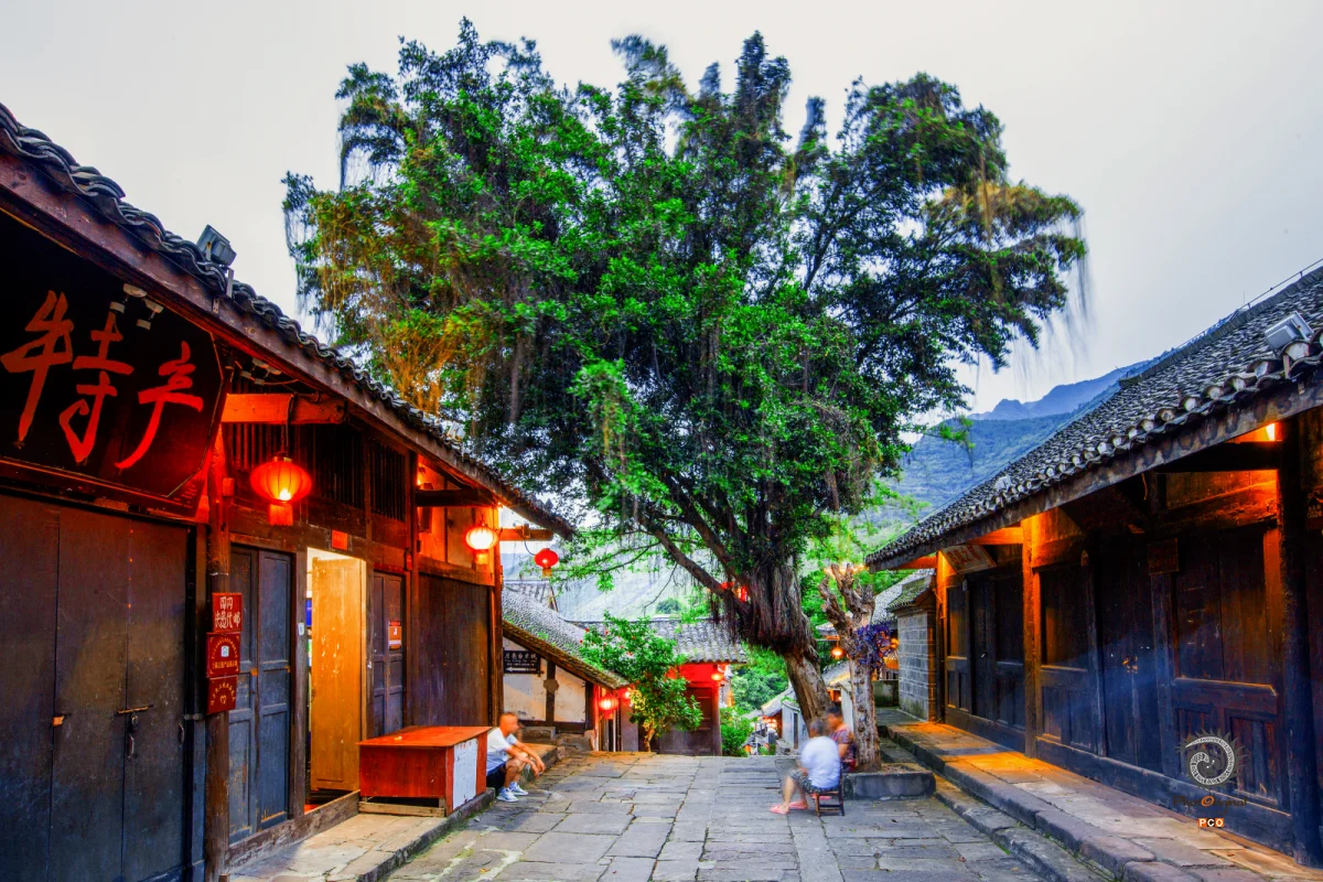 ​2024多彩贵州·第十七届中国原生态国际摄影大展 · 朱进 的图集
