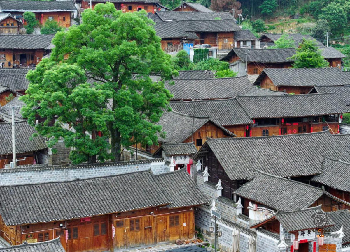 2025多彩贵州·第十八届中国原生态国际摄影大展展览 · 摄影大展官方客服 的图集
