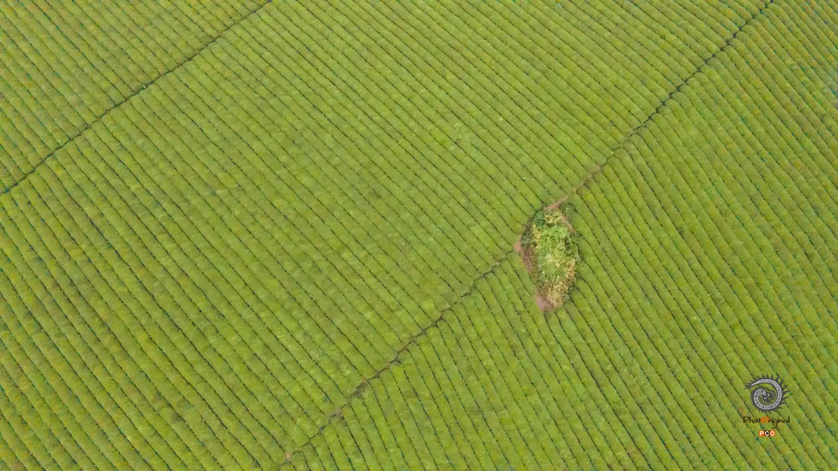 多彩贵州·第十四届中国原生态国际摄影大展 · 方映nic 的图集