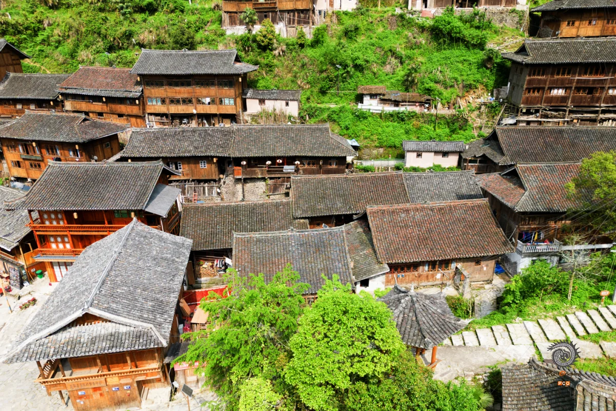 ​2024多彩贵州·第十七届中国原生态国际摄影大展 · 朱进 的图集