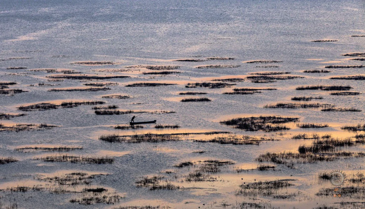 多彩贵州·第十四届中国原生态国际摄影大展 · 金兆 的图集