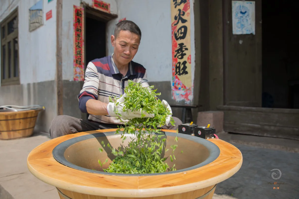 多彩贵州·第十四届中国原生态国际摄影大展 · 走在左边 的图集