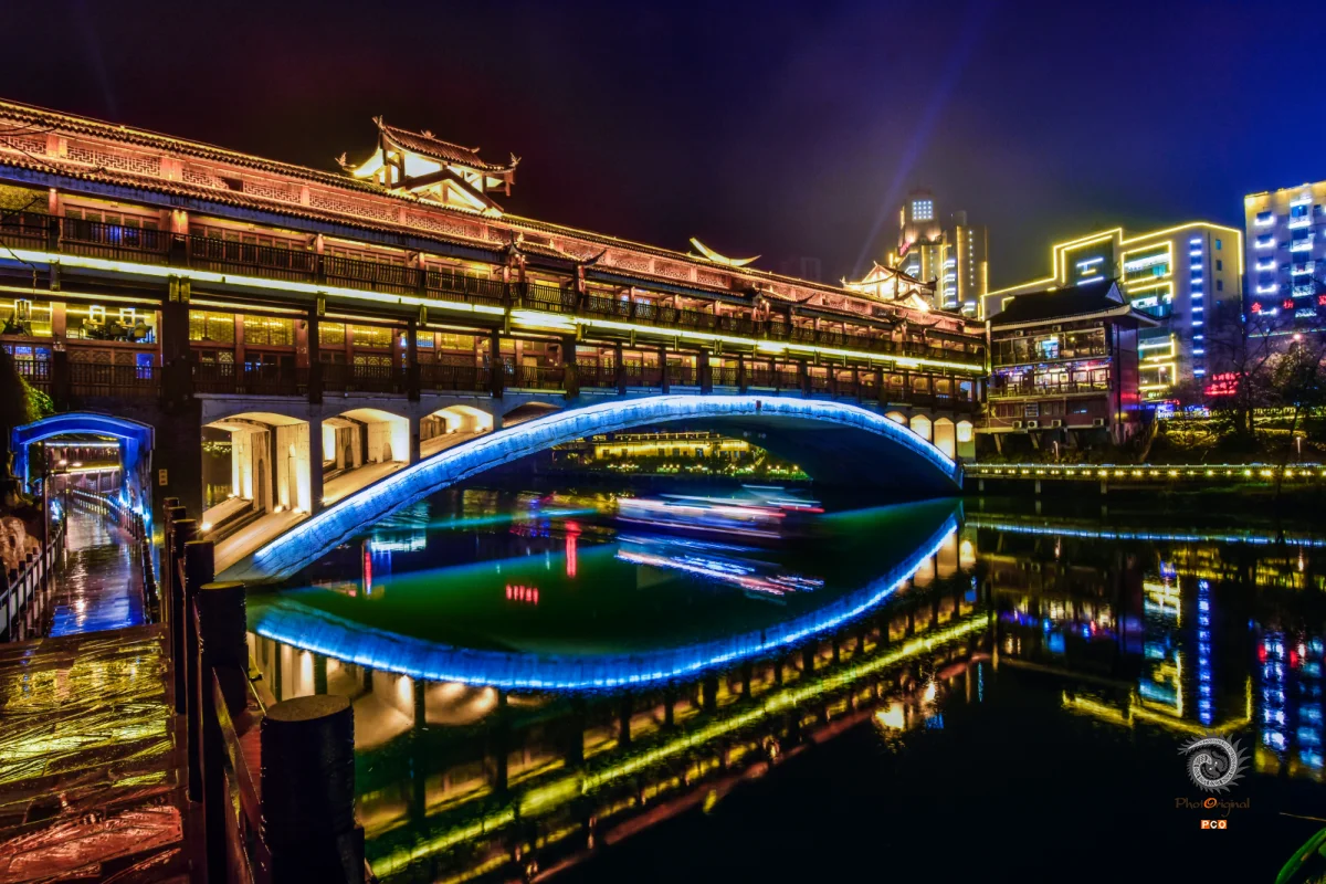 多彩贵州·第十四届中国原生态国际摄影大展 · 秋之蚱蜢 的图集