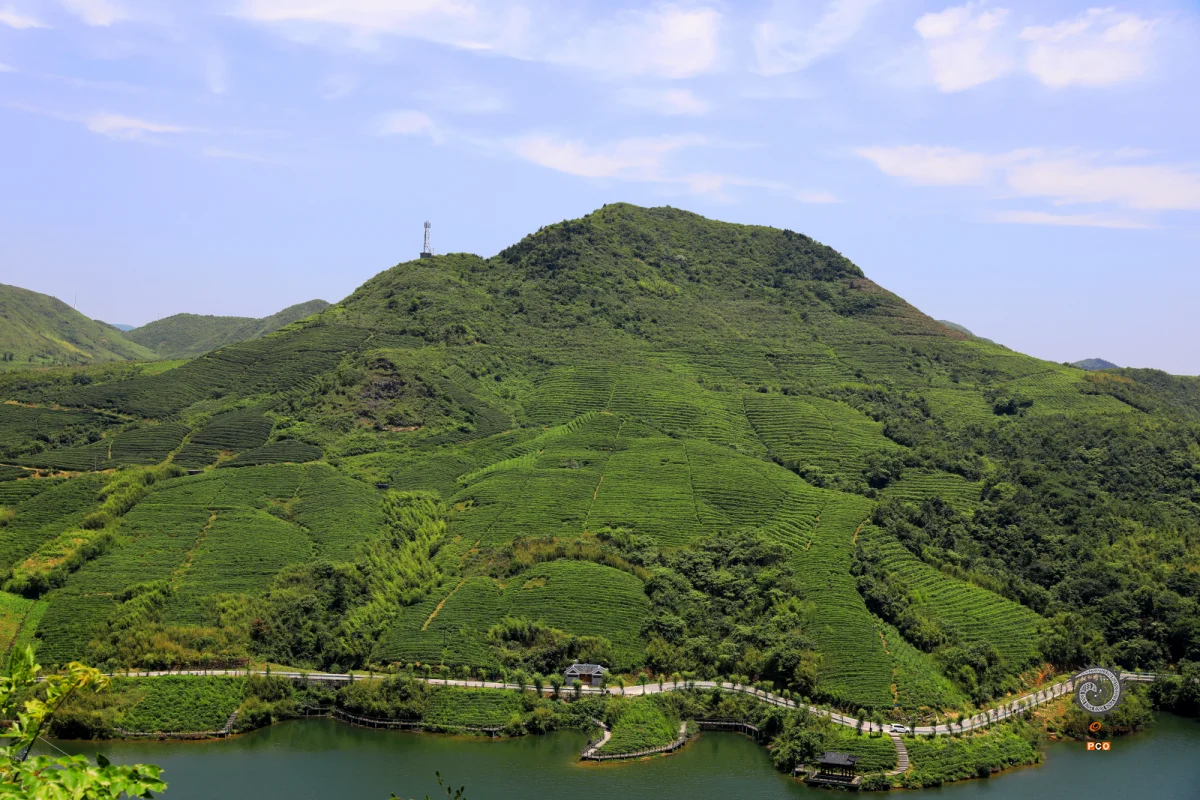 多彩贵州·第十四届中国原生态国际摄影大展 · 何维江 的图集
