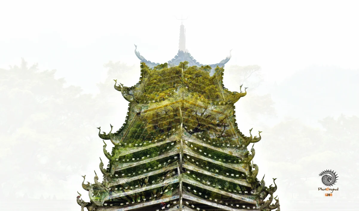 多彩贵州·第十四届中国原生态国际摄影大展 · 紫蝶视角 的图集