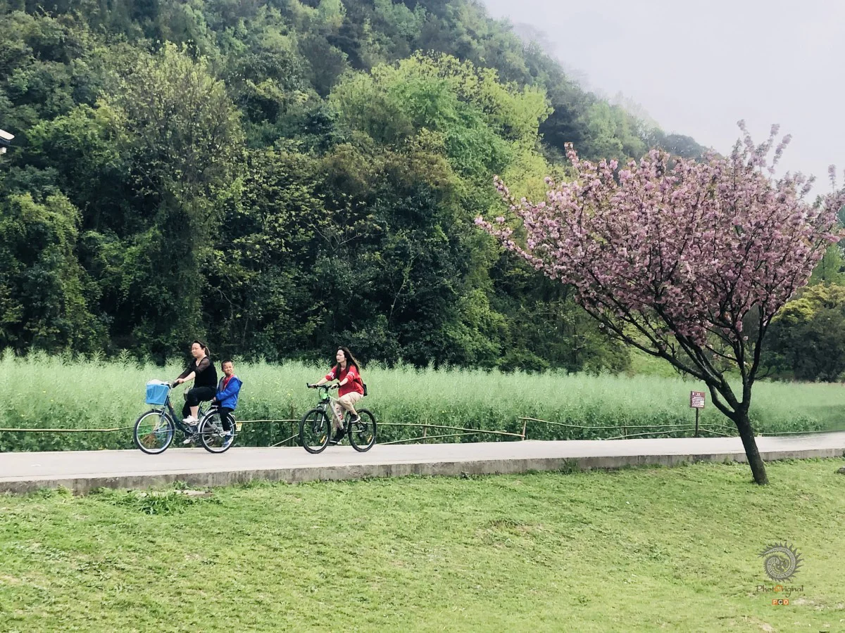 多彩贵州·第十四届中国原生态国际摄影大展 · 宁静港湾 的图集