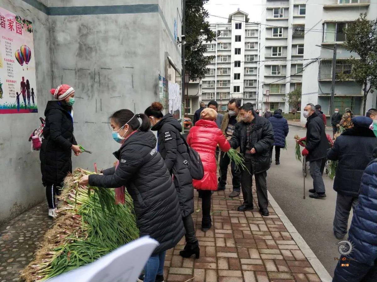 《遵义市疫情防控》