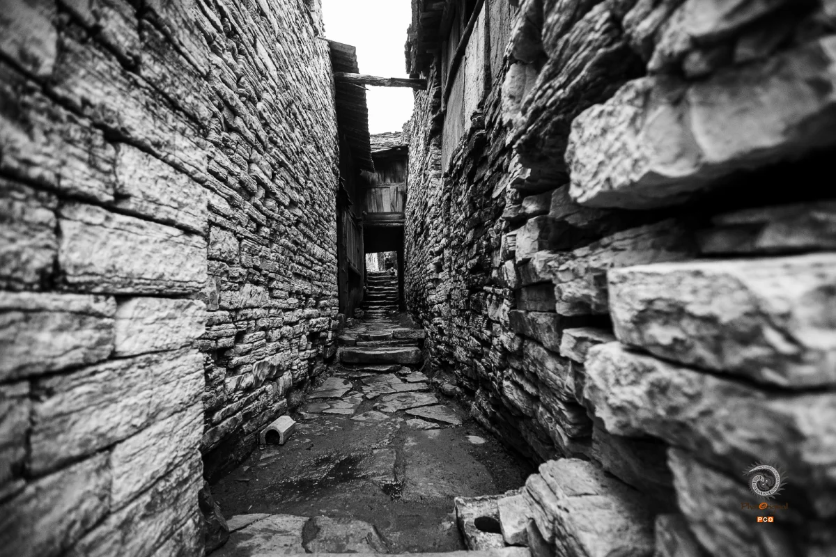 2025多彩贵州·第十八届中国原生态国际摄影大展 · 朱进 的图集