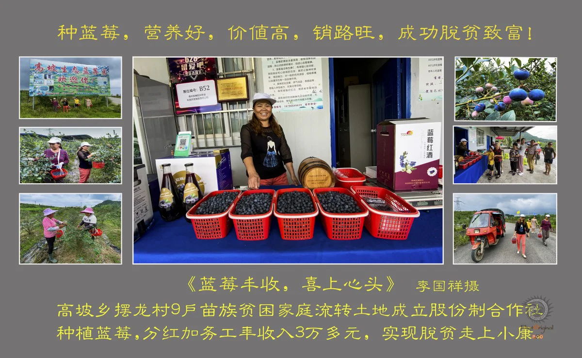 多彩贵州·第十四届中国原生态国际摄影大展 · 淼 的图集