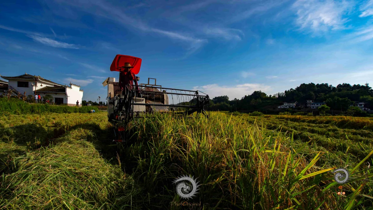 2024多彩贵州·第十七届中国原生态国际摄影大展展览 · 摄影大展官方客服 的图集