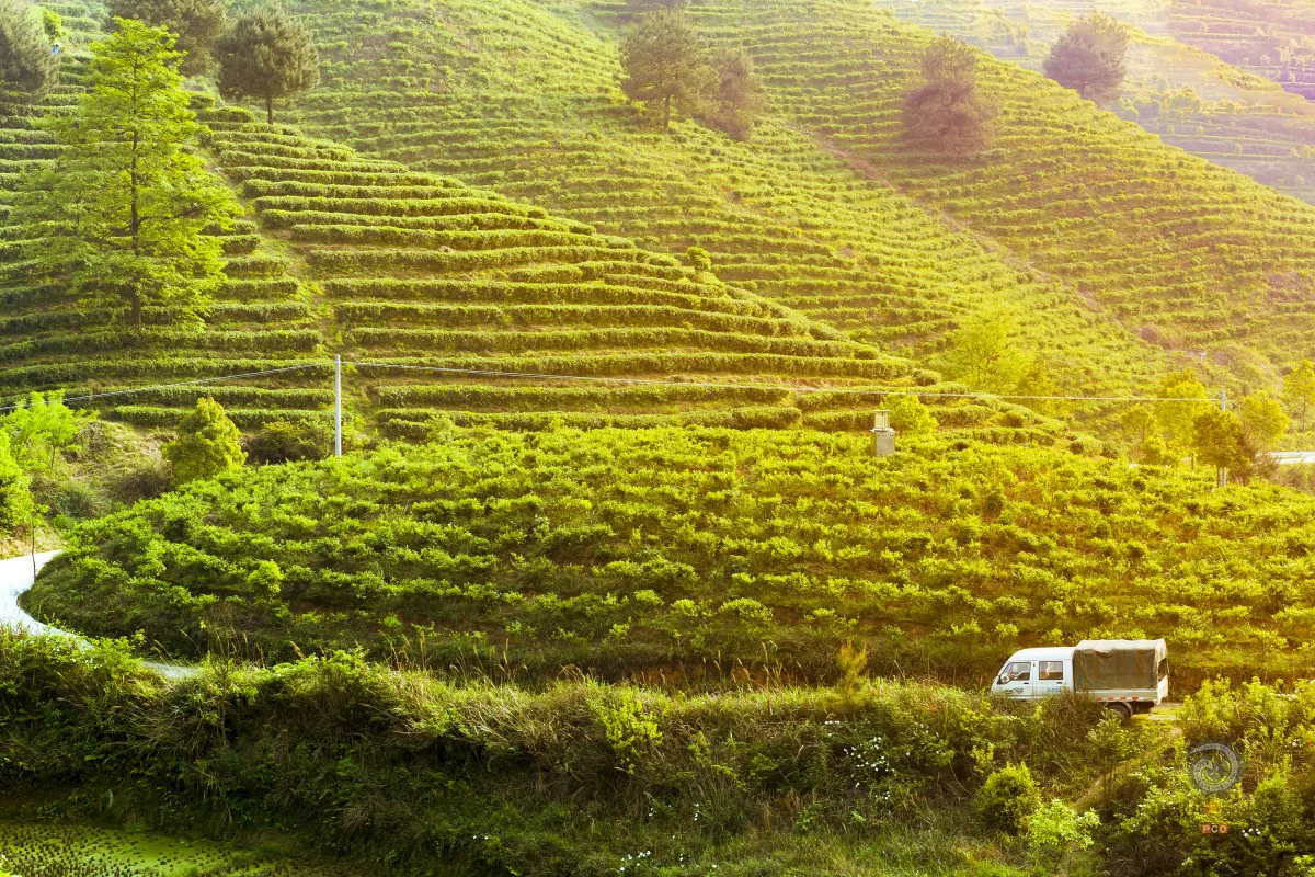 多彩贵州·第十四届中国原生态国际摄影大展 · 朱进 的图集