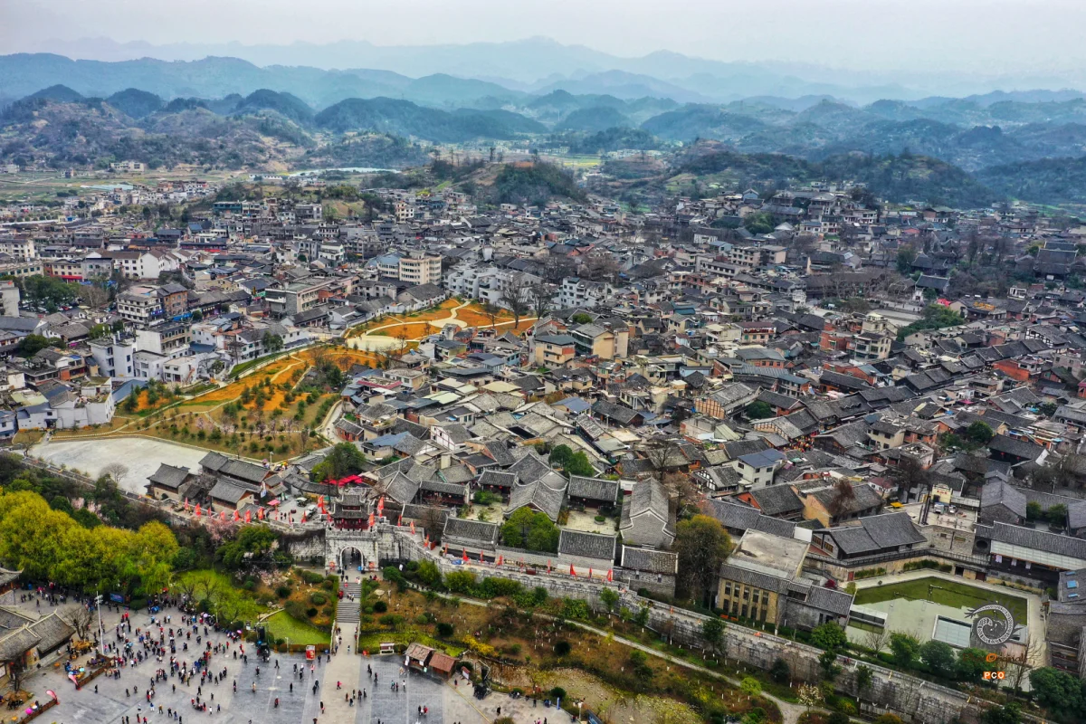 2025多彩贵州·第十八届中国原生态国际摄影大展 · 巴西铁 的图集